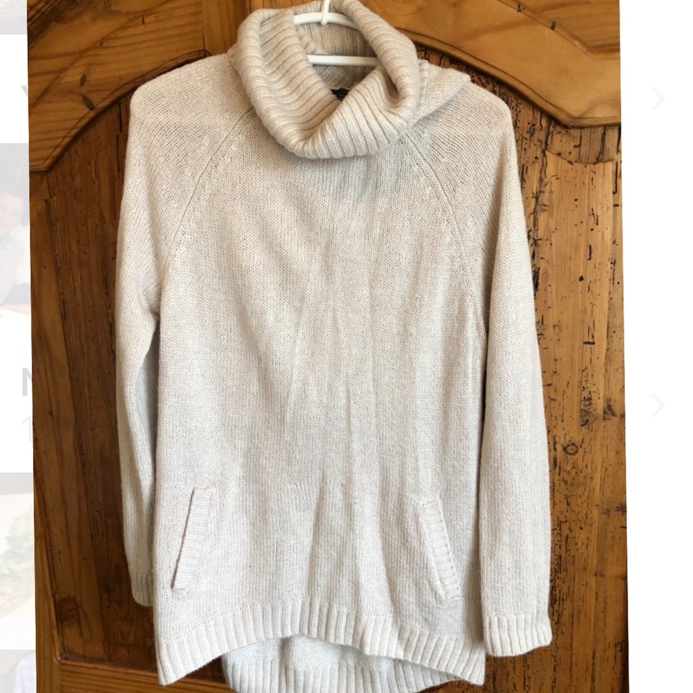 The Limited Turtleneck Sweater